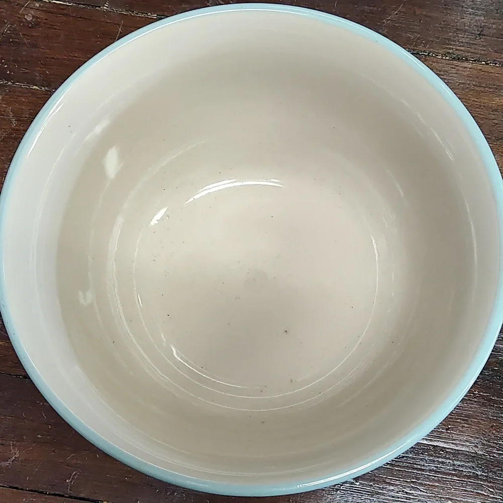 Williams Sonoma Ribbed Ceramic Bowl